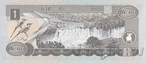  1  2006