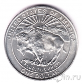  1  1999 Yellowstone (UNC)