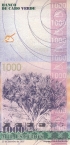 - 1000  2007