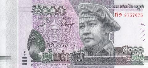  5000  2015