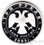  3  2005     