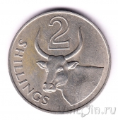  2  1966