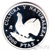 Испания 2000 песет 1995 Глухарь