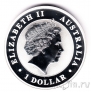 Австралия 1 доллар 2012 Коала Монета серебряная.