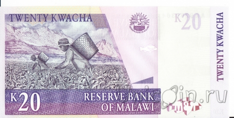  20  2006