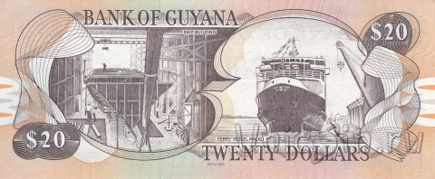 Гайана 20 долларов 2009