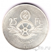  25  1956 10   