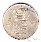 ������ 5 ���� 1955