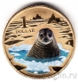 Австралия 1 доллар 2013 Тюлень
