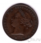 ������ 1/24 �������� 1877