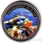 Палау 1 доллар 2011 Рыба мандаринка