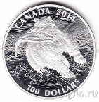 Канада 100 долларов 2014 Гризли