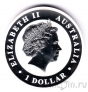 Австралия 1 доллар 2014 Коала Монета серебряная.