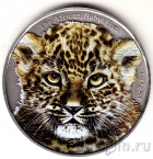 Бурунди 5000 франков 2014 Леопард (цветной)