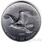 Канада 5 долларов 2014 Белоголовый орлан