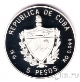 ���� 5 ���� 1993 �������� �������