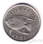 ������� 5 ������ 1981