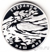  3  2008   .  