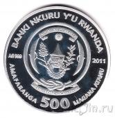 Руанда 500 франков 2011 Русская голубая кошка