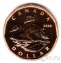 Канада 1 доллар 2008 Обыкновенная гага