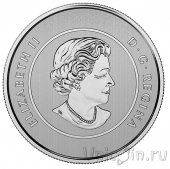 Канада 20 долларов 2015 Женский чемпионат мира по Футболу
