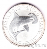  50  2015  -