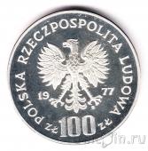 ������ 100 ������ 1977 ����