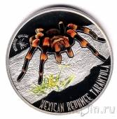 Ниуэ 1 доллар 2012 Мексиканский красноколенный птицеед