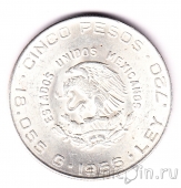 ������� 5 ���� 1956
