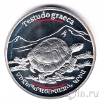 Армения 100 драм 2006 Средиземноморская черепаха