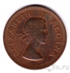 ����� ������ 1 ����� 1954