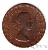 ����� ������ 1 ����� 1954