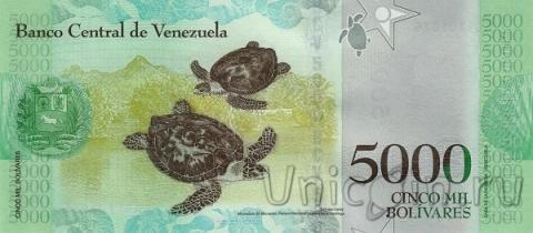 ��������� 5000 ��������� 2016