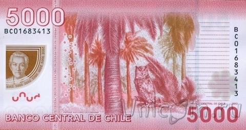 Чили 5000 песо 2013