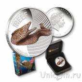 Австралия 50 центов 2011 Мурена