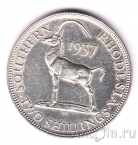 ����� ������� 2 �������� 1937