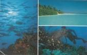 �������� ����� ����� (Maldivian Souvenir)