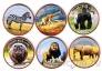 Сомалиленд набор 6 монет 2018 Животные Африки