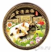 Памятный жетон