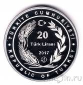 ������ 20 ��� 2017 ������� ����