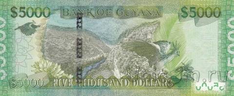 Гайана 5000 долларов 2011-2018