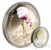 Британские Виргинские острова 1 доллар 2019 Андский фламинго