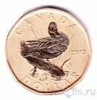 Канада 1 доллар 2013 Голубокрылый чирок