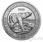 Канада 2 доллара 2018 Арктический белый медведь