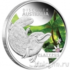 Австралия 1 доллар 2013 Утконос	