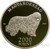 Венгрия 2000 форинтов 2020 Собака Комондор