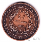 Турция 2,5 лиры 2020 Большая мечеть Айя-София в Стамбуле