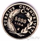  5000  1992 500     -  