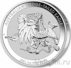 Австралия 1 доллар 2021 Клинохвостый орёл