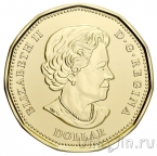 Канада 1 доллар 2021 Клондайкская золотая лихорадка (цветная)